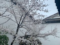 -胡雪岩故居