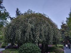 -郑和公园