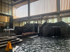 -嘉佑温泉水世界