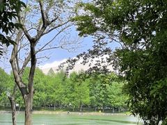 -尚贤河湿地