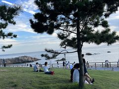 -青岛海滨风景区