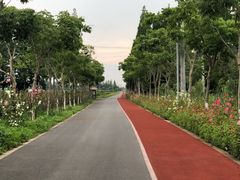 -上海长兴岛郊野公园