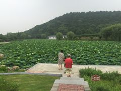 -龙寺生态园