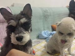 -美联众合动物医院·24h转诊中心