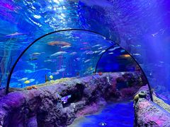 -沈阳海洋探索中心