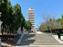 -原山国家森林公园