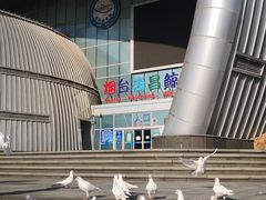 -烟台海昌鲸鲨海洋公园