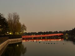 -迪士尼小镇