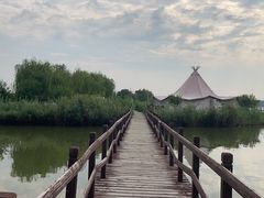 -西青郊野公园