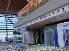 -上海浦东国际机场-T2航站楼