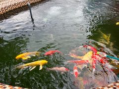 -杭州野生动物世界