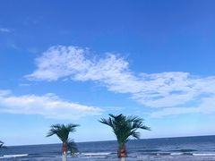 -日照海滨国家森林公园