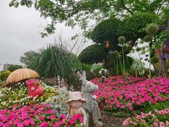-荷兰花海