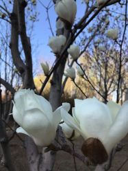 -大望京儿童游乐场