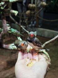 -Zoolung Zoolung动物主题公园(海信广场店)