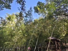 -南北湖风景区
