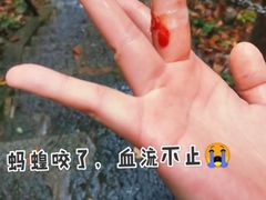 -七仙岭温泉国家森林公园