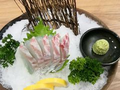 -一本钓鲔鱼屋