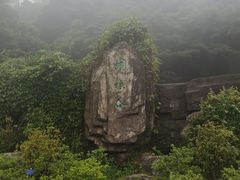 -梧桐山风景名胜区