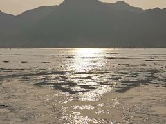 -北岐滩涂