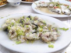-老三鱼仔店
