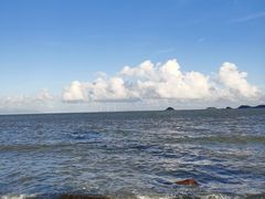 -野狸岛