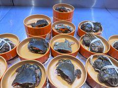 -海底捞大排档火锅(打浦路店)