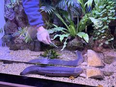 -上海海洋水族馆