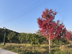-嘉北郊野公园