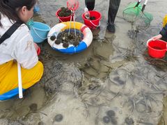 -蓝湾绿城威斯汀度假酒店大堂吧