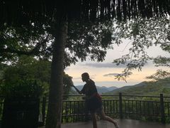 -呀诺达热带雨林