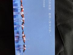 -BLACKSWAN黑天鹅(环球店)