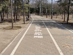 -古塔公园