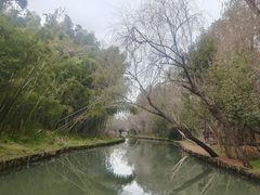 -同里国家湿地公园