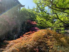 -胡雪岩故居
