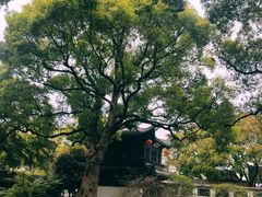 -惠山古镇·寄畅园