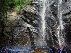 -东莞市大岭山森林公园
