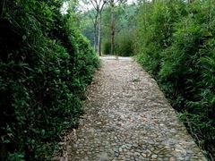 -中旅阿那亚九龙湖·公主酒店