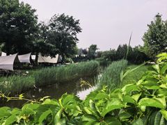 -圣露庄园·露营·烤肉·亲子