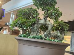 -上海浦东嘉里大酒店