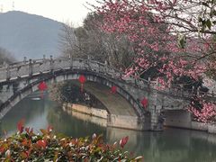-绍兴大禹开元观堂-若耶厅
