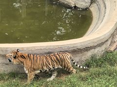 -石家庄市动物园