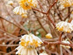 -幕燕滨江·长江观音景区