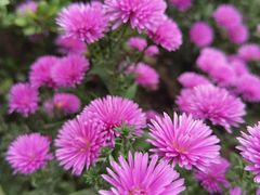 -上海植物园-4号门售票处