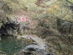 -宁波市保国寺古建筑博物馆