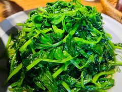 -鸽子窝(青塔店)
