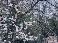-北京动物园