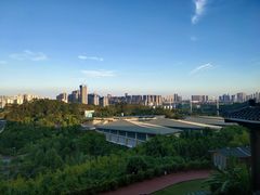 -壮乡楼民俗文化苑(李宁体育园店)