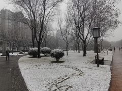 -唐城墙遗址公园