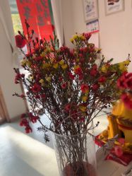 点击看大图 -Dr.林醫生产后修复·配方产康店(南京大厂店)
